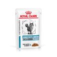 Royal Canin Veterinary Sensitivity Control Chicken with Rice Cat Pouch - Angled View