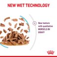 Royal Canin Sensory Feel - New Wet Texture Morsels in Gravy