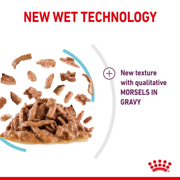 Royal Canin Sensory Feel - New Wet Texture Morsels in Gravy