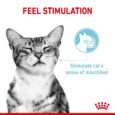 Royal Canin Sensory Feel - Cat Mouthfeel Stimulation
