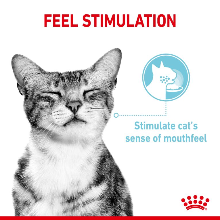 Royal Canin Sensory Feel - Cat Mouthfeel Stimulation
