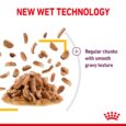 Royal Canin Sensory Taste - New Wet Texture Chunks in Gravy