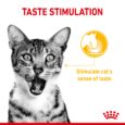 Royal Canin Sensory Taste - Cat Taste Stimulation