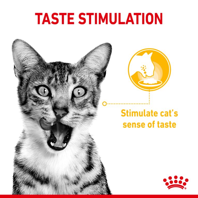Royal Canin Sensory Taste - Cat Taste Stimulation