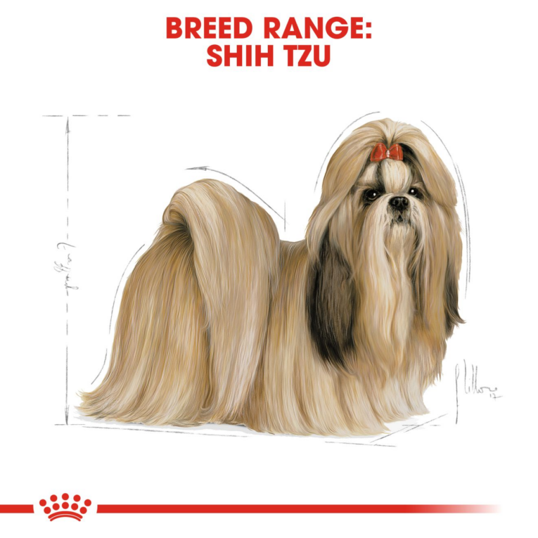 Royal Canin Shih Tzu Adult - breed range illustration