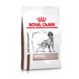 Royal Canin Veterinary Hepatic 1.5kg pack front