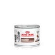 Royal Canin Veterinary Recovery Wet Food for Dogs & Cats