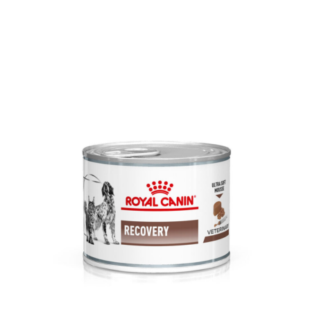 Royal Canin Veterinary Recovery Wet Food for Dogs & Cats