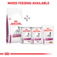 Royal Canin Veterinary Renal Select 10kg - Mixed Feeding Dry and Wet