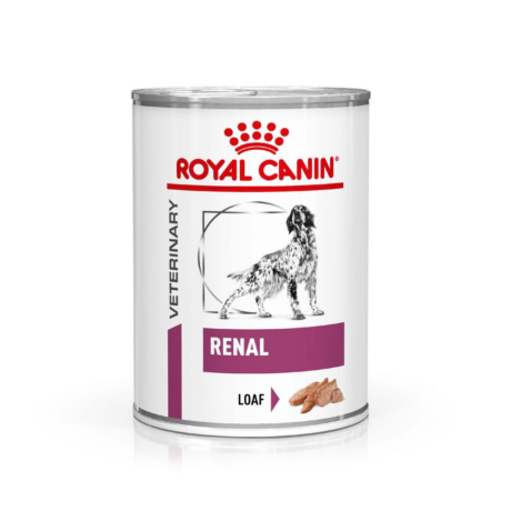 Royal Canin Veterinary Renal Wet Dog Food 410g – Kidney Support