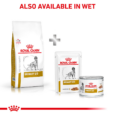 Royal Canin Veterinary Urinary S/O 2kg - Also Available in Wet