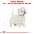 Royal Canin West Highland White Terrier Adult - breed range illustration