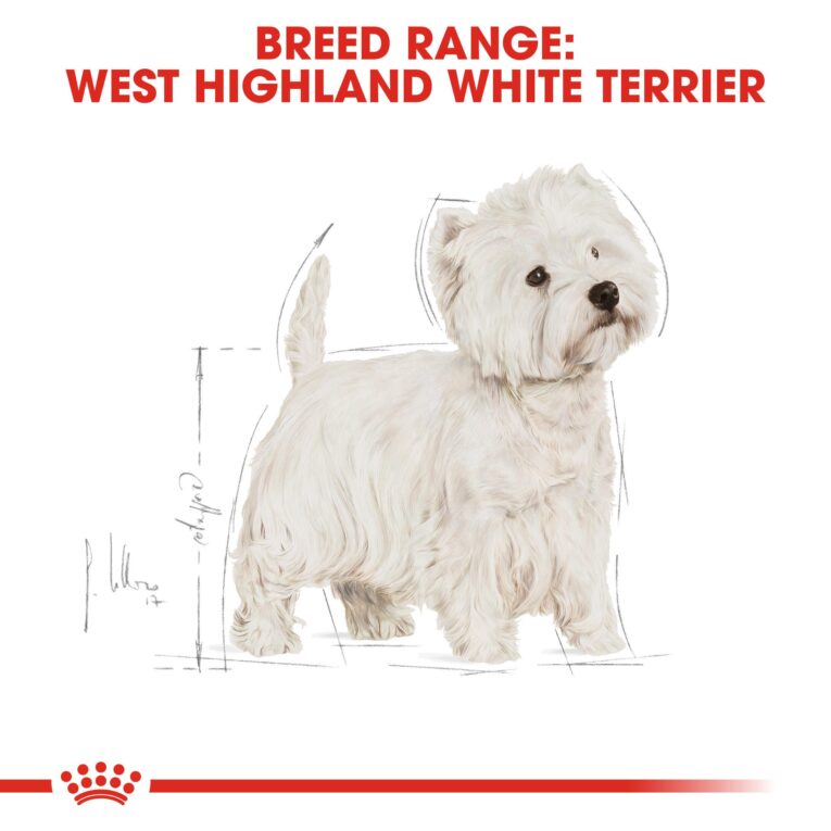 Royal Canin West Highland White Terrier Adult - breed range illustration
