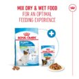 Royal Canin X-Small Puppy 1.5kg - Mix Dry and Wet Food