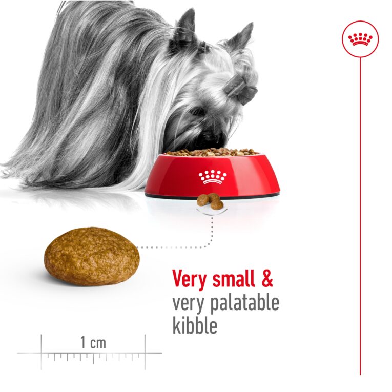 Royal Canin X-Small Adult Dog Food - Dog Eating from Bowl