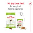 Royal Canin X-Small Adult Dog Food - Mix Dry and Wet Food