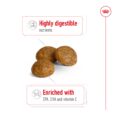 Royal Canin X-Small Adult Dog Food - Kibble Detail