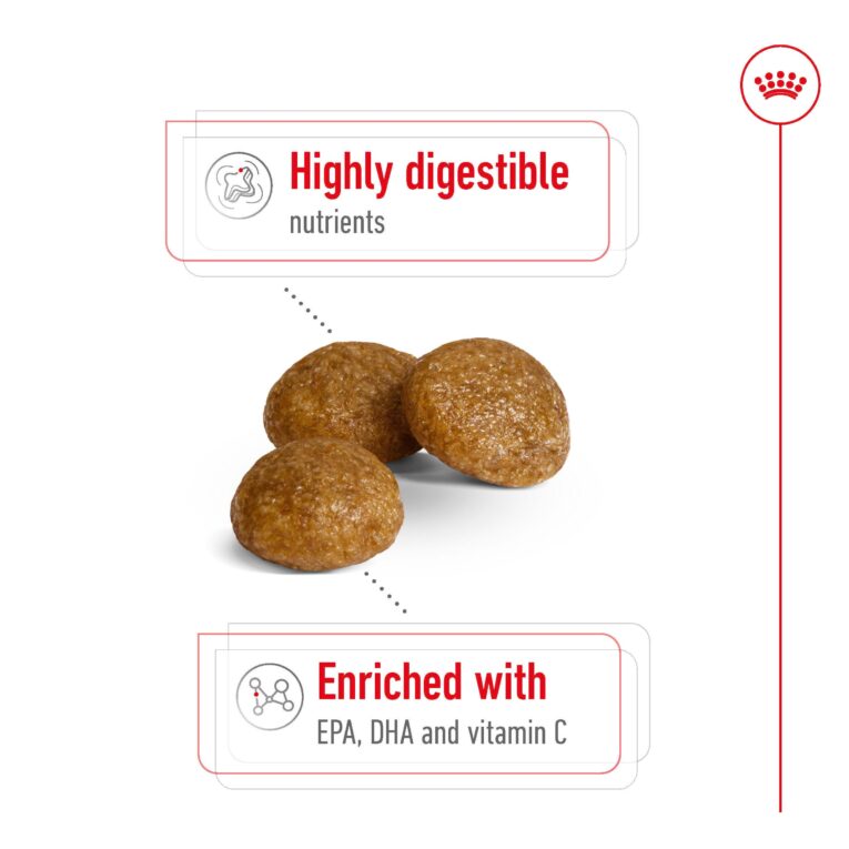 Royal Canin X-Small Adult Dog Food - Kibble Detail